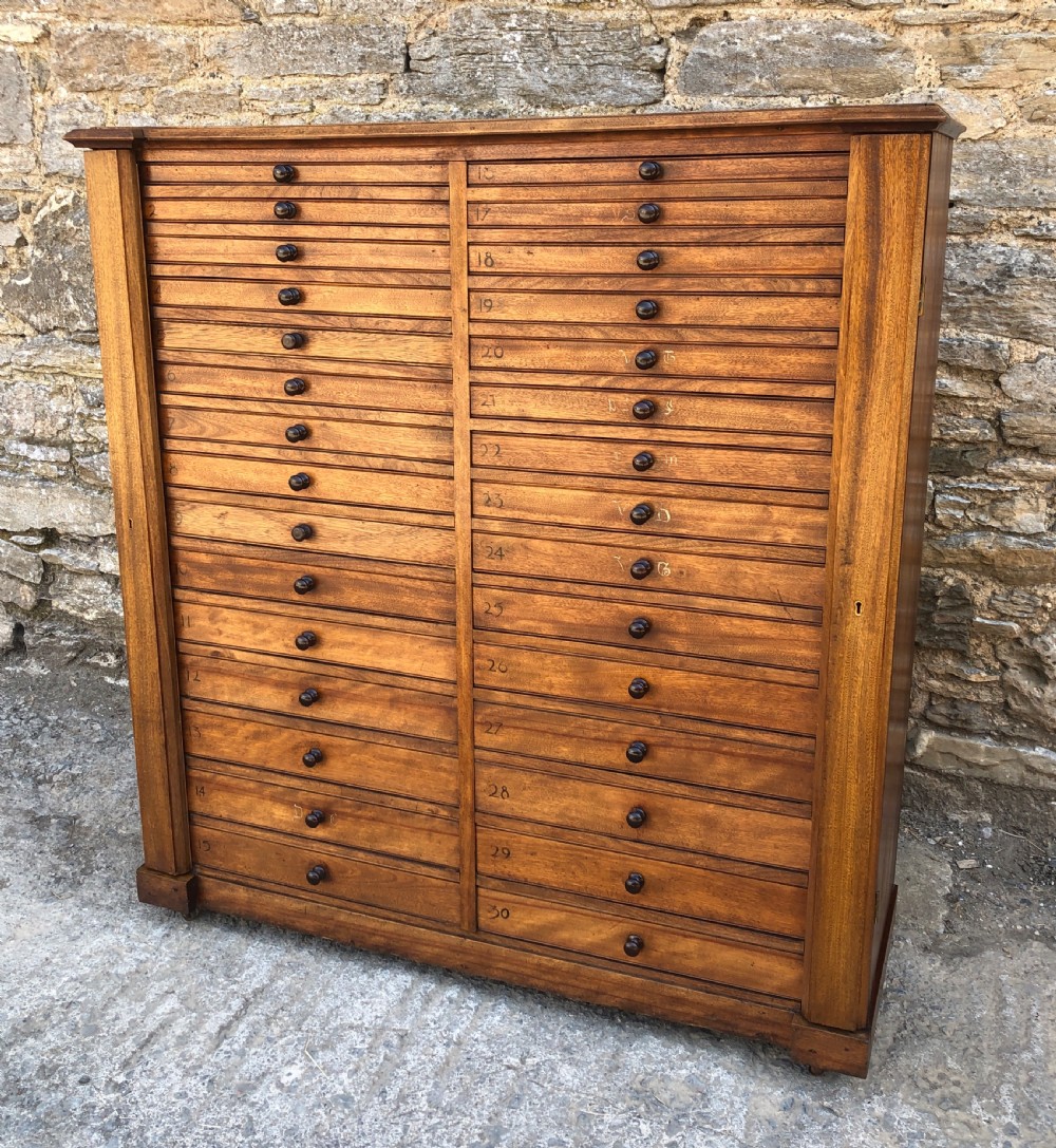 Large Antique 30 Drawer Specimen Cabinet View III