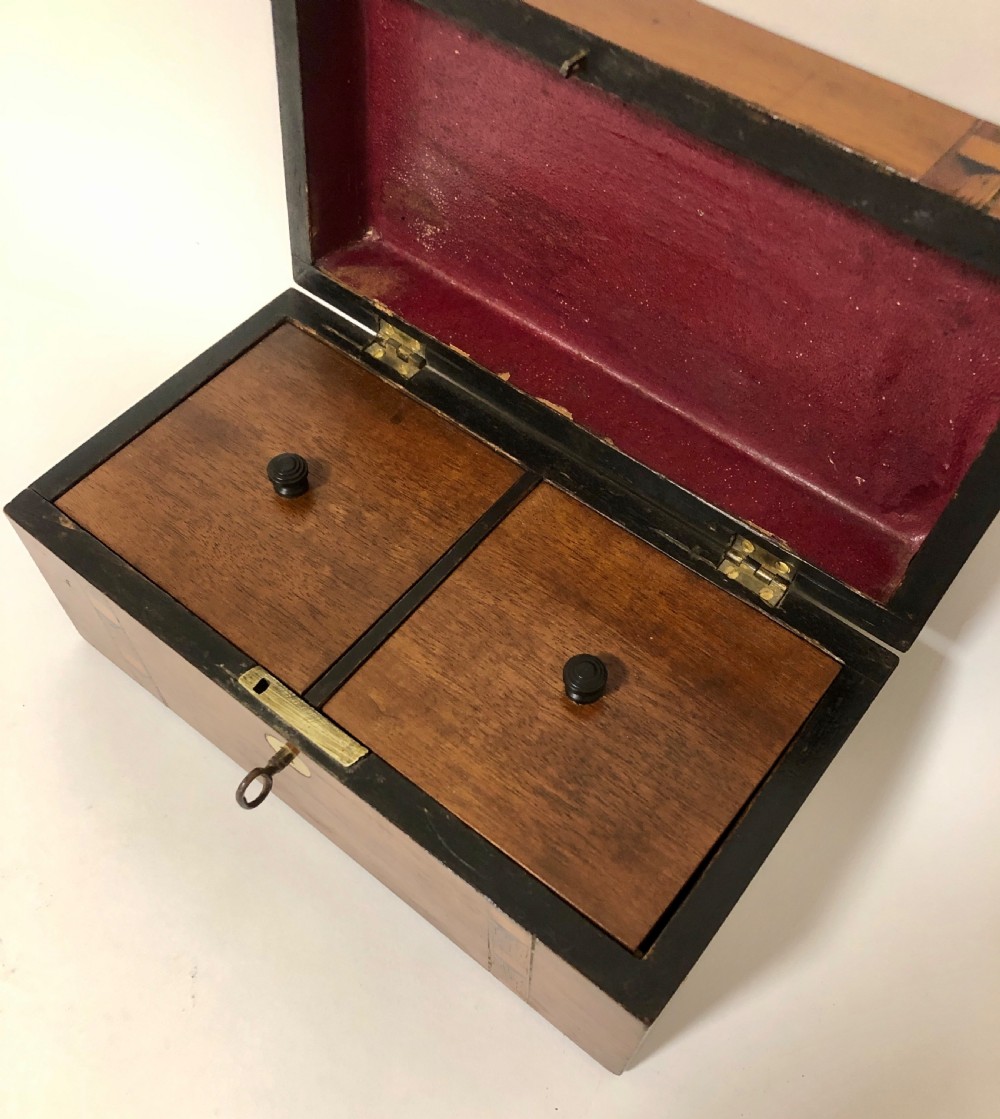 Victorian Tunbridge Ware Walnut Tea Caddy View XII
