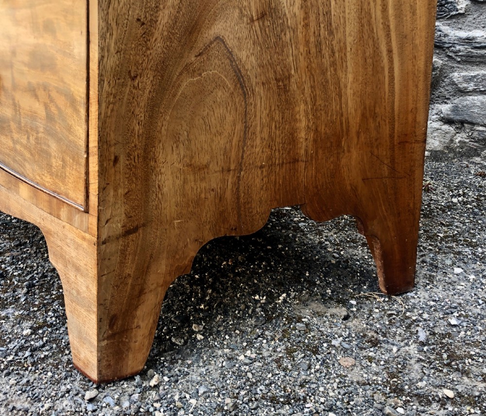 Antique Mahogany Bow Front Chest of Drawers View VIII