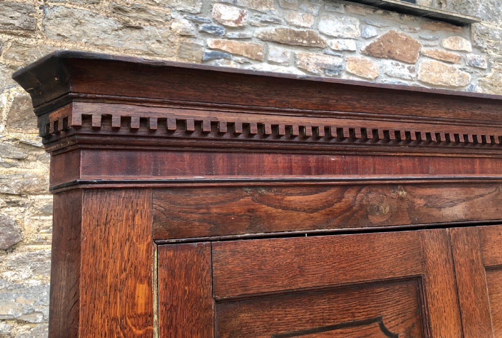 Large Georgian Oak Floorstanding Corner Cupboard  View VI