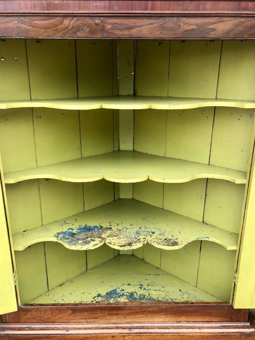 Large Georgian Oak Floorstanding Corner Cupboard  View X