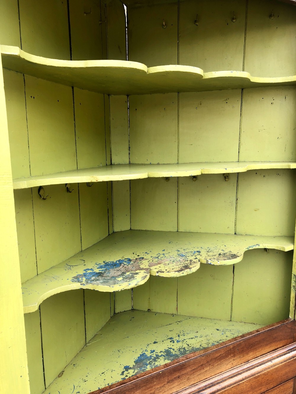 Large Georgian Oak Floorstanding Corner Cupboard  View XI