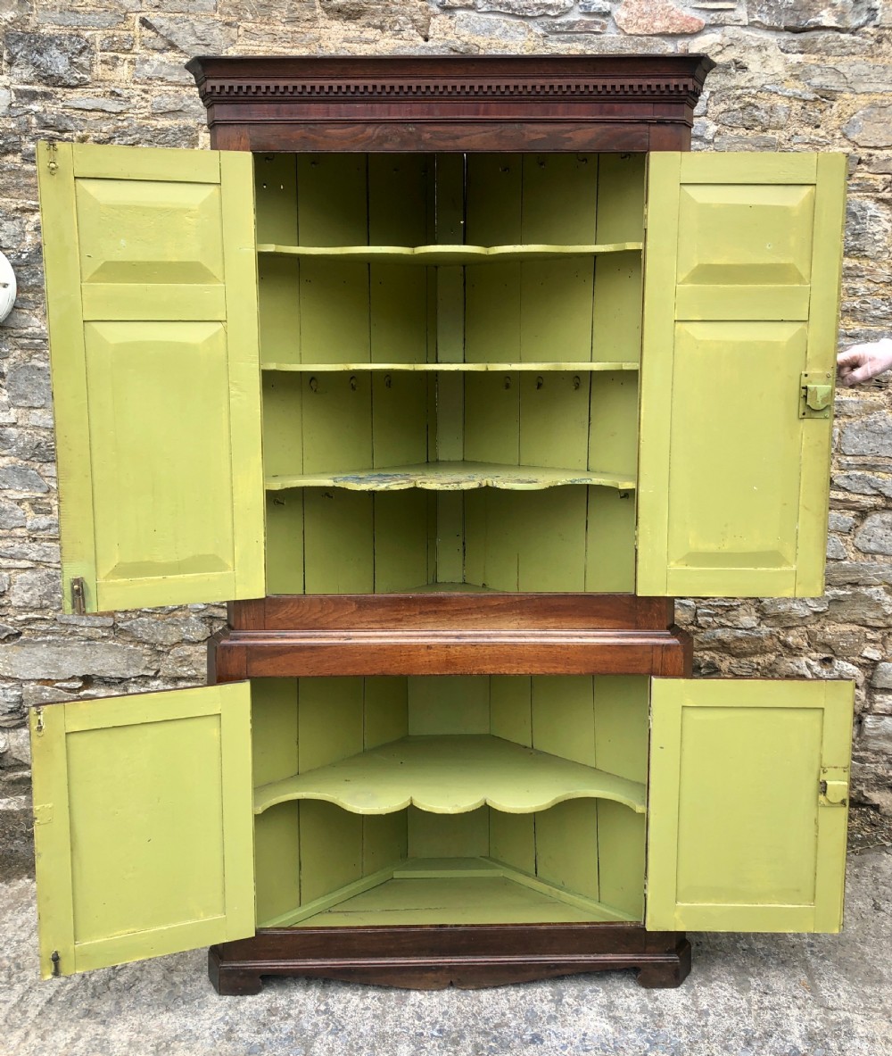 Large Georgian Oak Floorstanding Corner Cupboard  View XIII