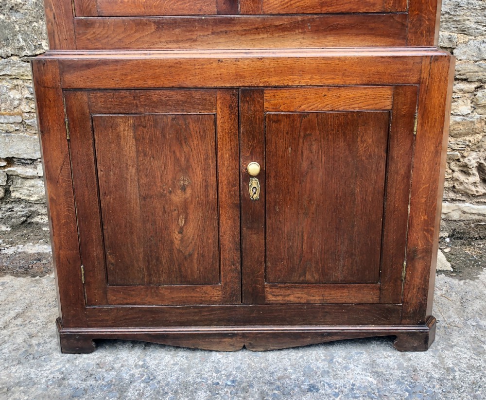 Large Georgian Oak Floorstanding Corner Cupboard  View XV