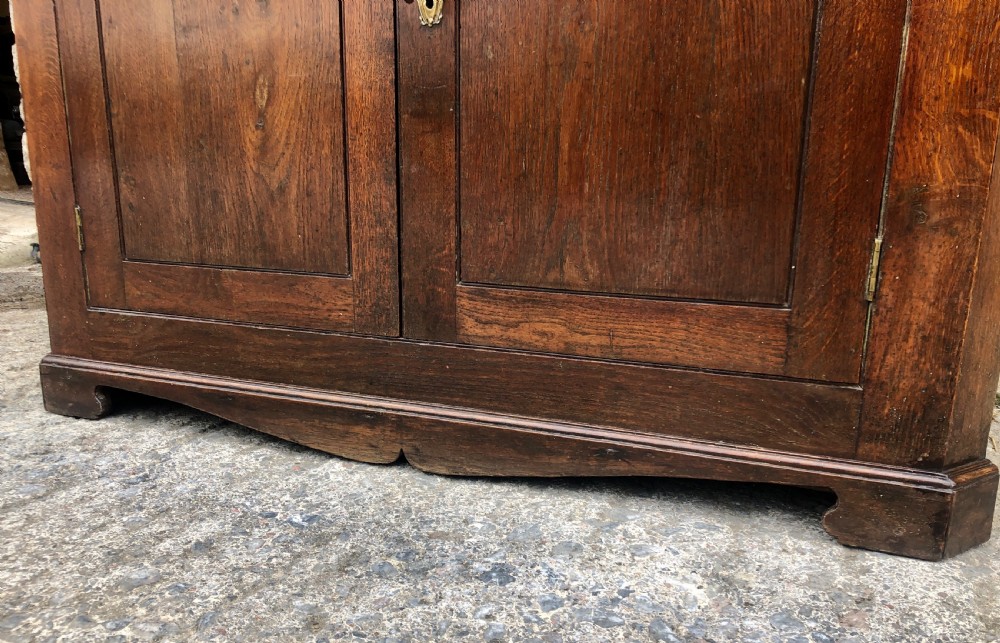 Large Georgian Oak Floorstanding Corner Cupboard  View XVII