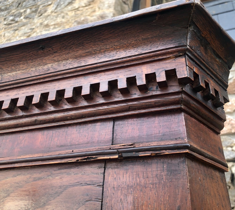 Large Georgian Oak Floorstanding Corner Cupboard  View XXIV