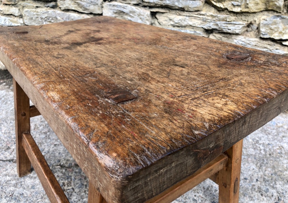 Primitive Slab Top Pig Table View XVI