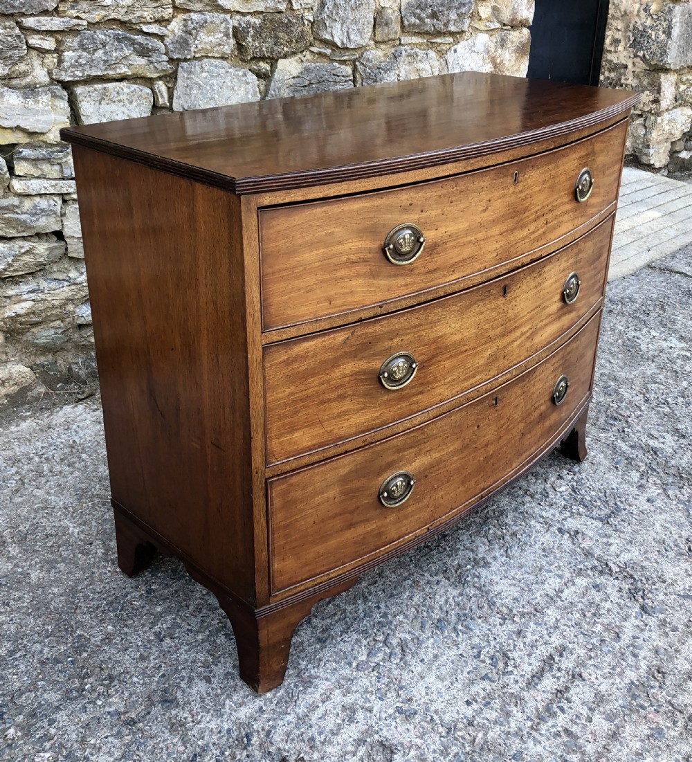 Regency Mahogany Bow Front Chest of Drawers View IV