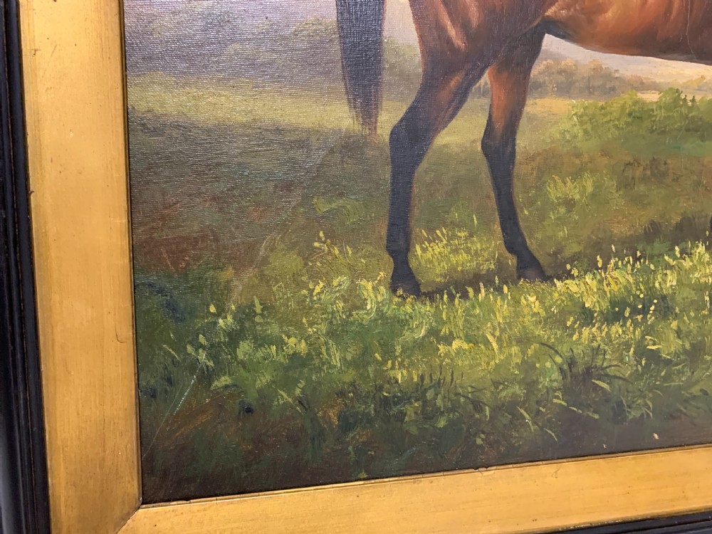 Antique Oil on Canvas painting of a Bay Horse View IV