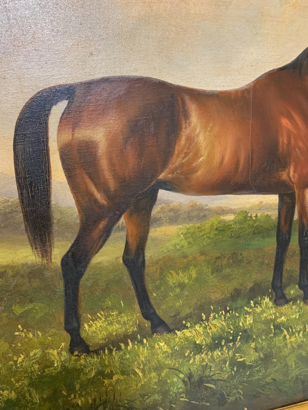 Antique Oil on Canvas painting of a Bay Horse View VI