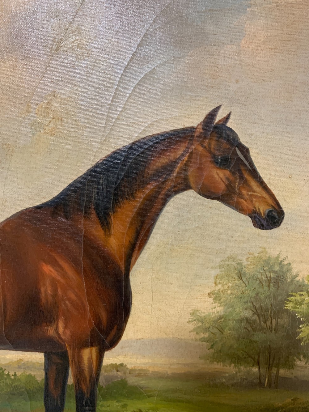 Antique Oil on Canvas painting of a Bay Horse View VII
