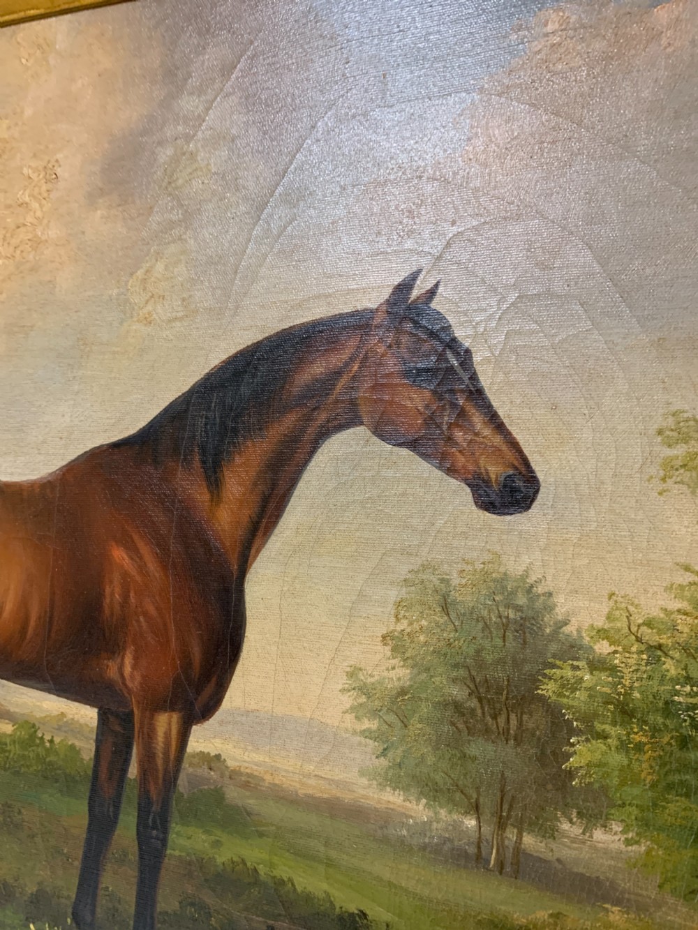 Antique Oil on Canvas painting of a Bay Horse View X