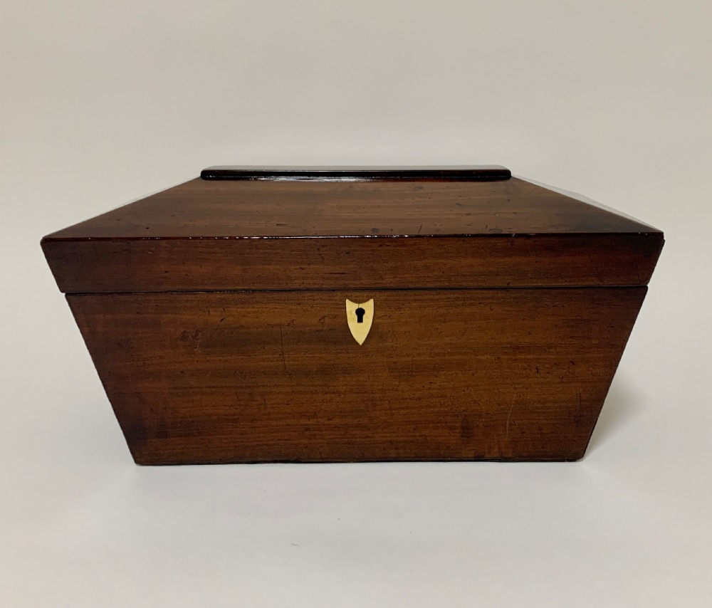 Georgian Mahogany Sarcophagus Tea Caddy View III