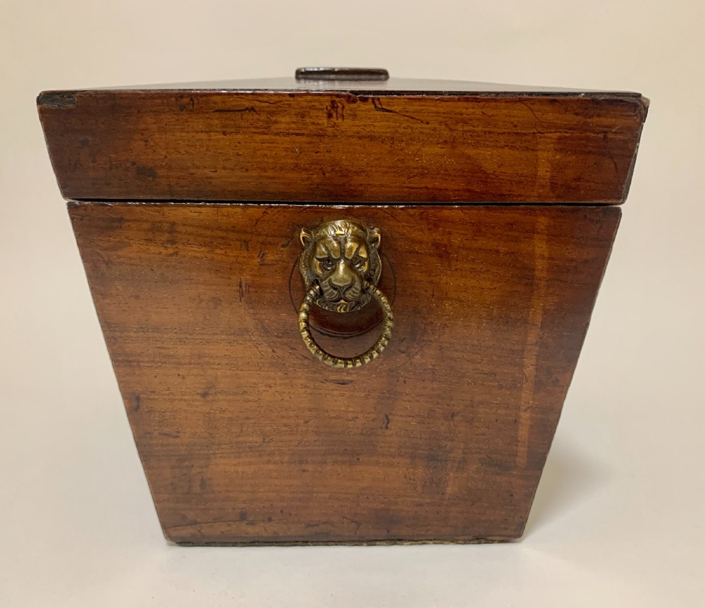 Georgian Mahogany Sarcophagus Tea Caddy View IV