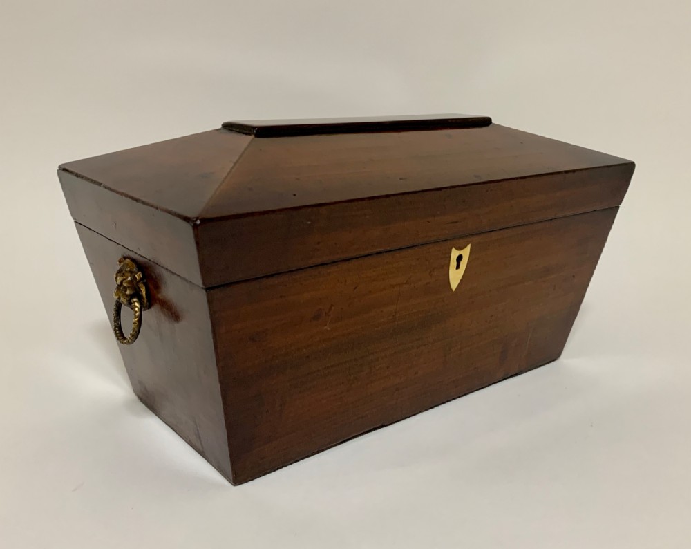 Georgian Mahogany Sarcophagus Tea Caddy View V