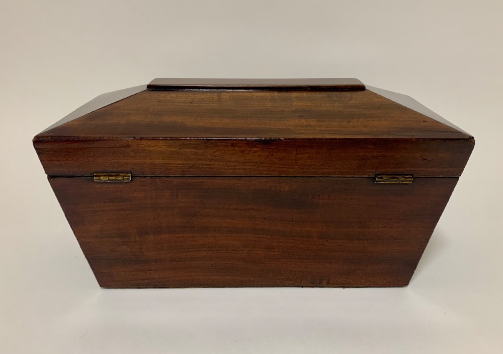 Georgian Mahogany Sarcophagus Tea Caddy View VIII