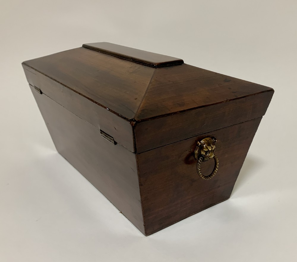 Georgian Mahogany Sarcophagus Tea Caddy View IX