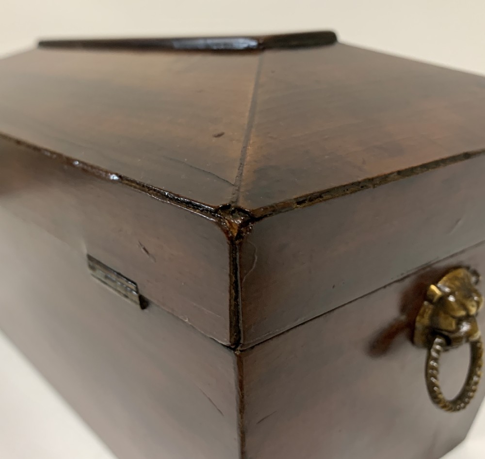 Georgian Mahogany Sarcophagus Tea Caddy View X