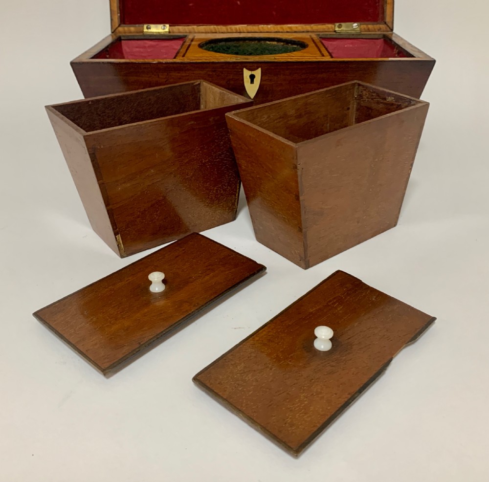 Georgian Mahogany Sarcophagus Tea Caddy View XI