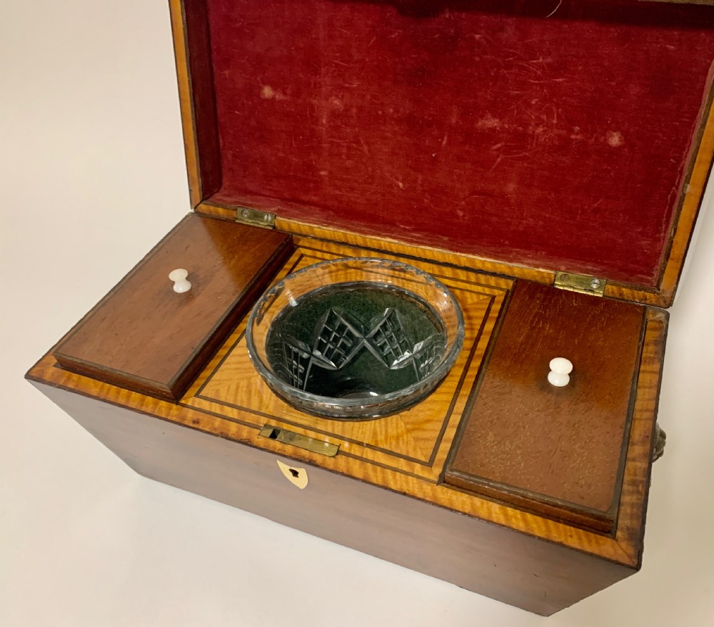 Georgian Mahogany Sarcophagus Tea Caddy View XII