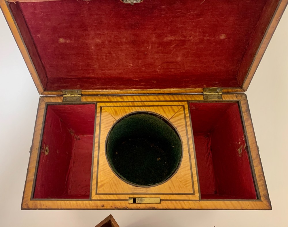Georgian Mahogany Sarcophagus Tea Caddy View XIII