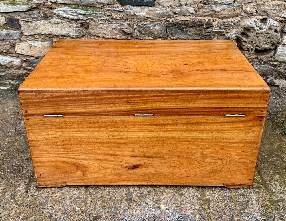 Antique Camphorwood Military Trunk Chest View VII