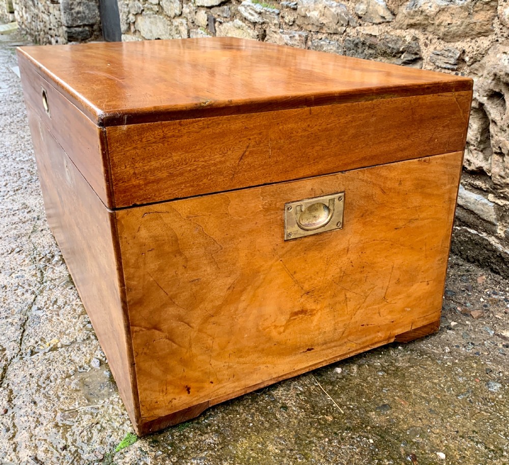 Antique Camphorwood Military Trunk Chest View XII