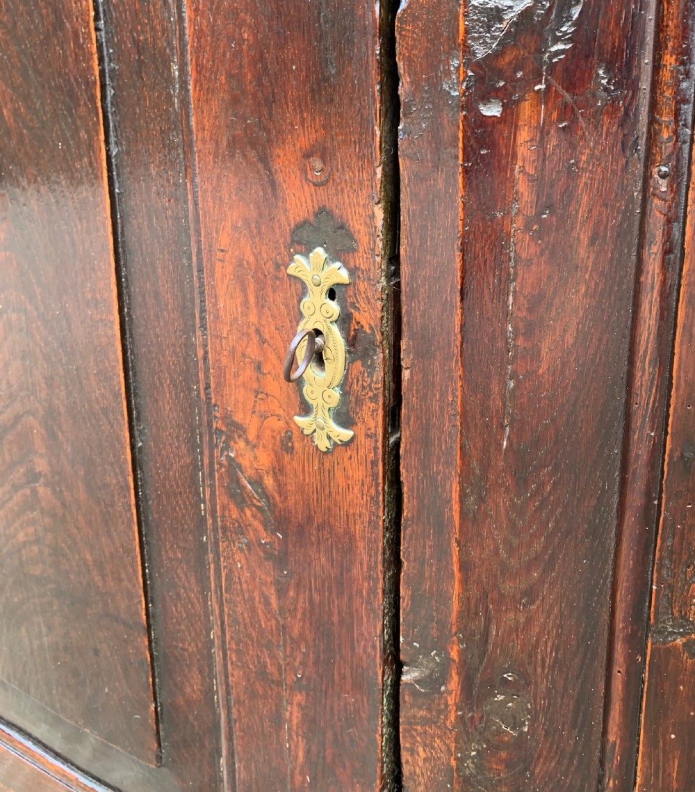 Georgian Oak Hanging Corner Cupboard View VIII