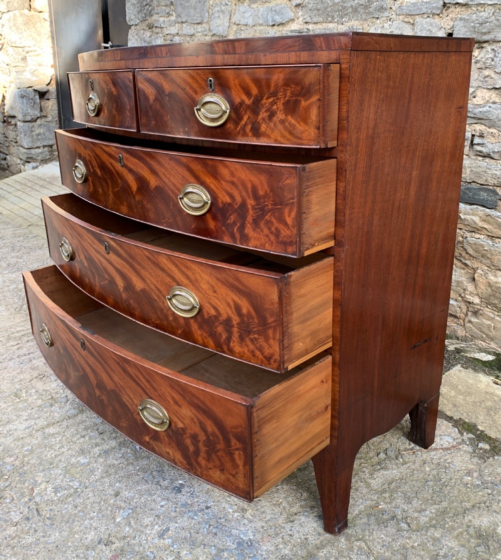 Regency Mahogany Bow Front Chest of Drawers View VIII