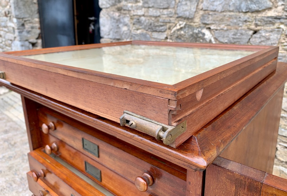 Victorian Mahogany Collectors Specimen Cabinet by J.T.Crockett & Son View III