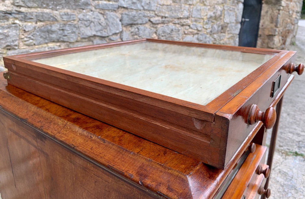 Victorian Mahogany Collectors Specimen Cabinet by J.T.Crockett & Son View VIII