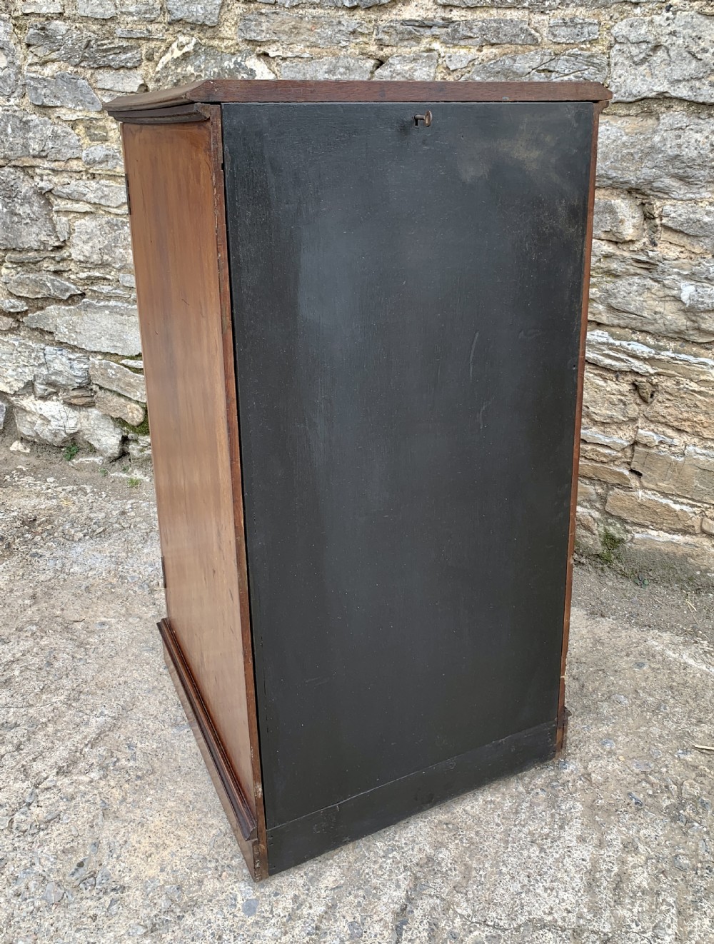 Victorian Mahogany Collectors Specimen Cabinet by J.T.Crockett & Son View IX