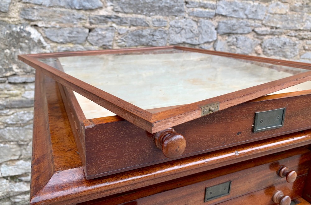 Victorian Mahogany Collectors Specimen Cabinet by J.T.Crockett & Son View XIV