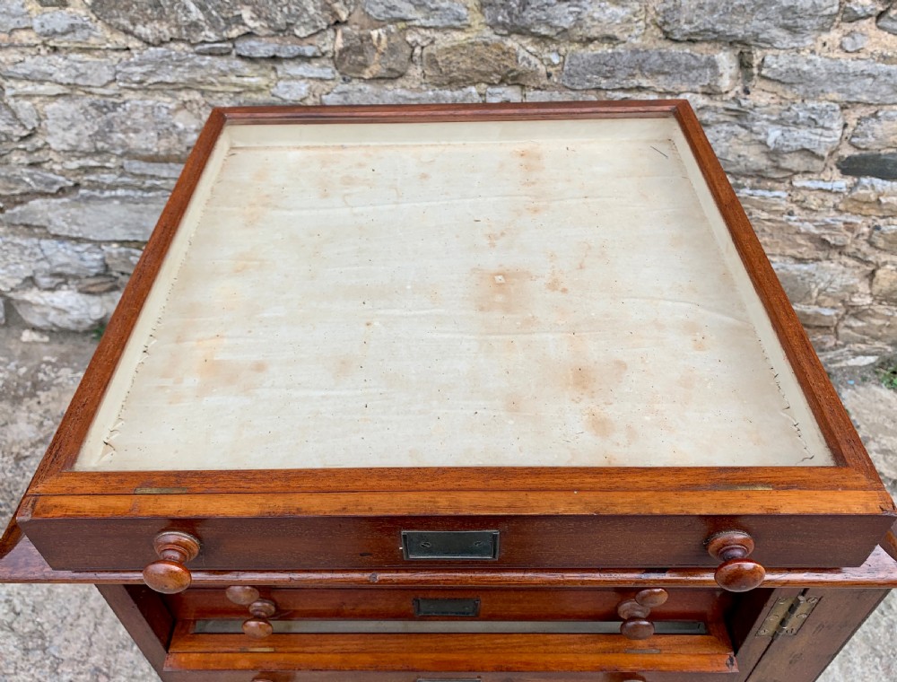 Victorian Mahogany Collectors Specimen Cabinet by J.T.Crockett & Son View XVI