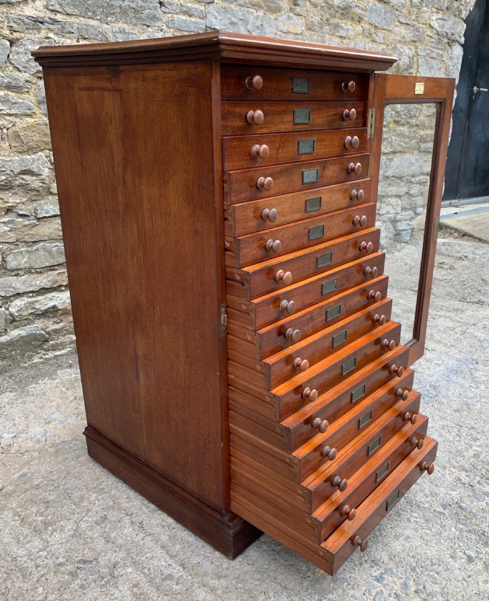 Victorian Mahogany Collectors Specimen Cabinet by J.T.Crockett & Son View XIX