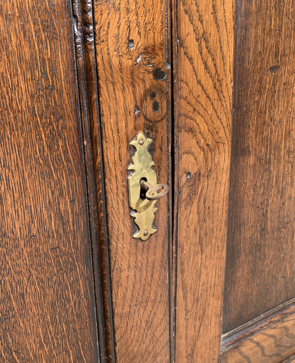 Georgian Oak Dresser Base View XVI