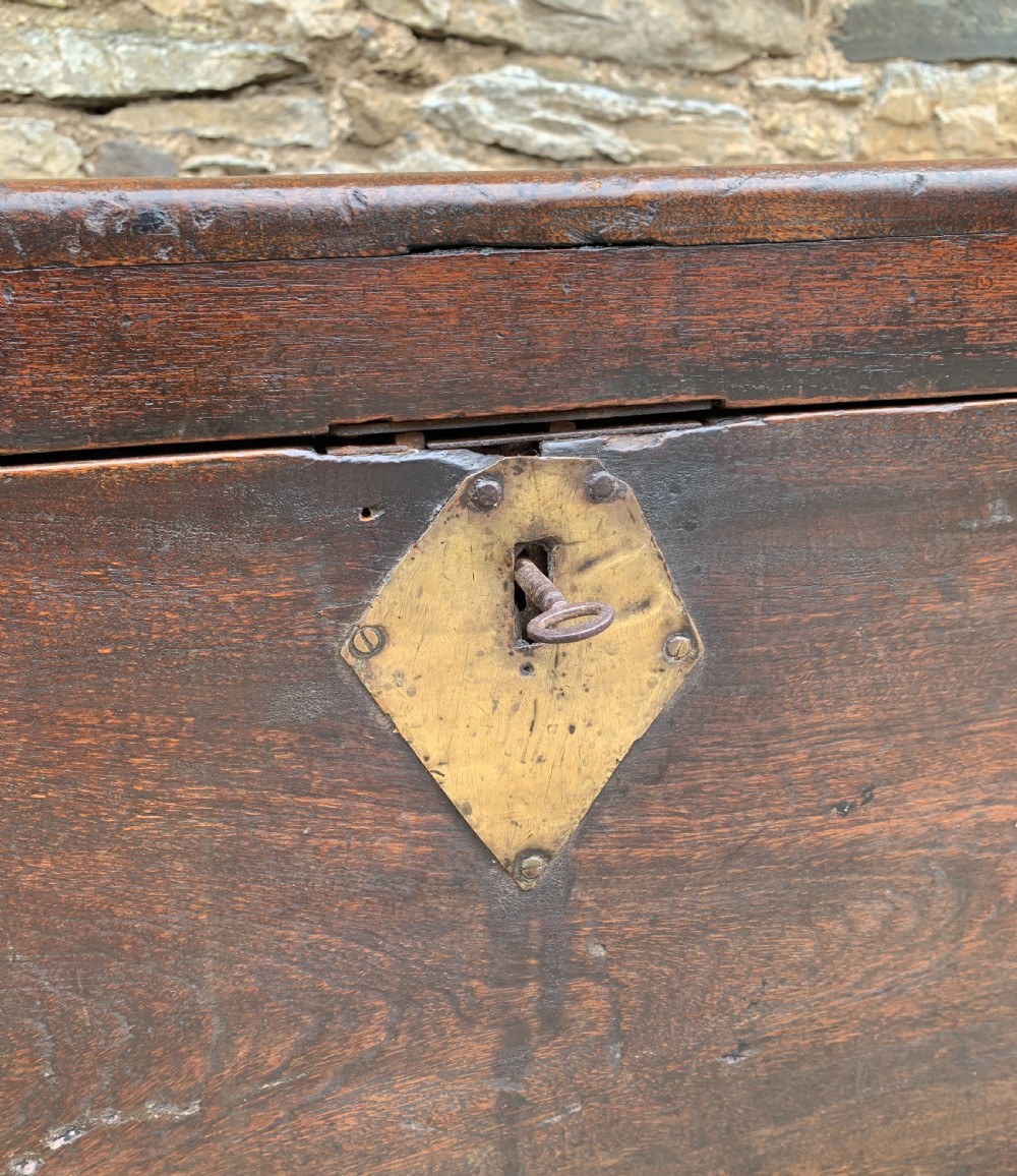 Antique Camphor Sea Chest Trunk View XIII