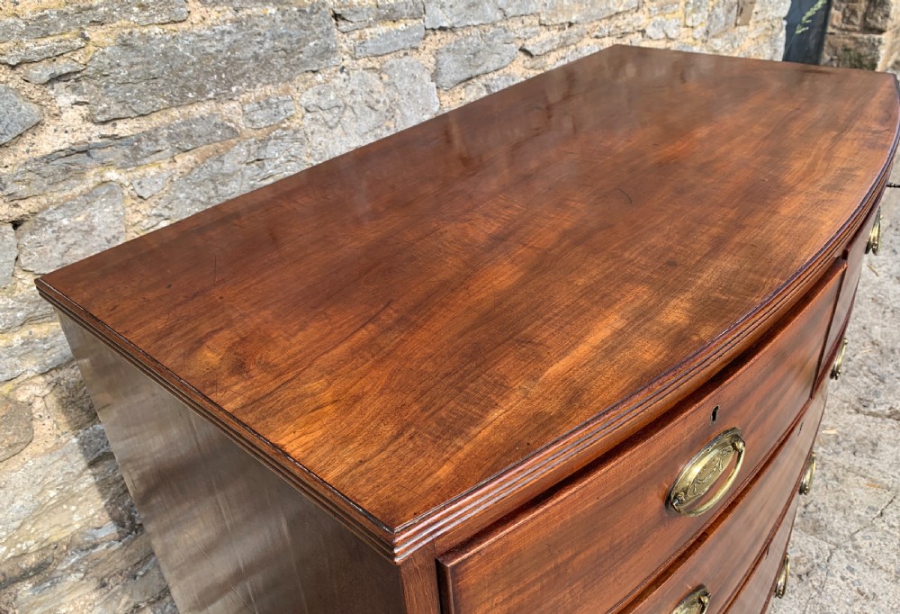 Regency Mahogany Bow Front Chest of Drawers View XIX