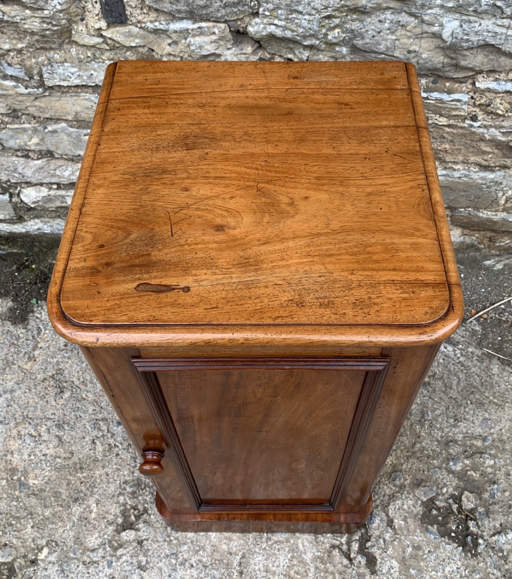 Antique Victorian Mahogany Bedside Pot Cupboard  View III