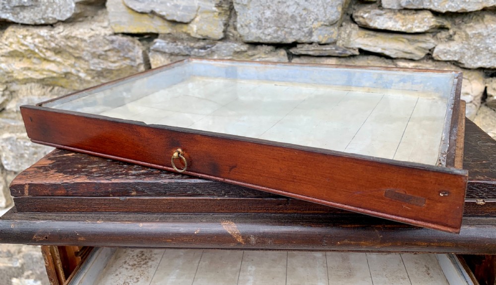 Georgian Collectors Tabletop Specimen Cabinet View IX