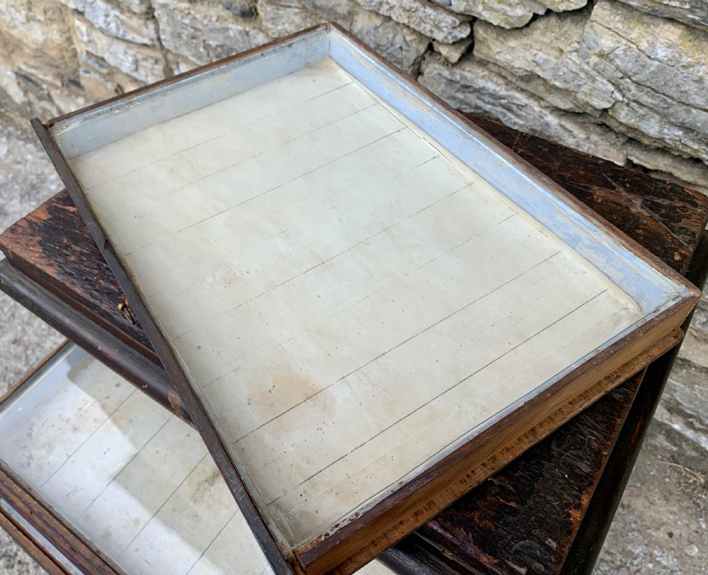 Georgian Collectors Tabletop Specimen Cabinet View XXI