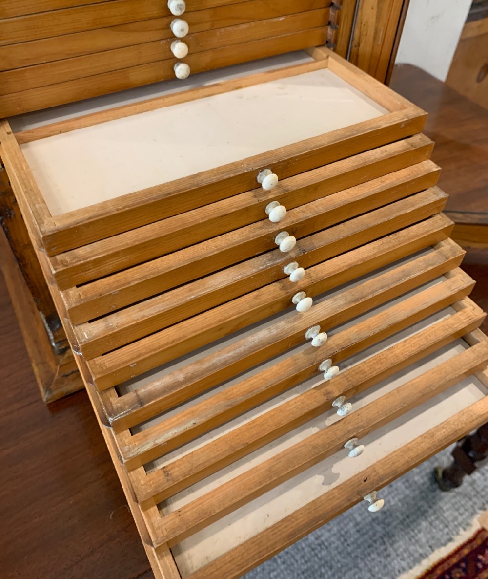 Antique Pine Microscope Slide Cabinet View X