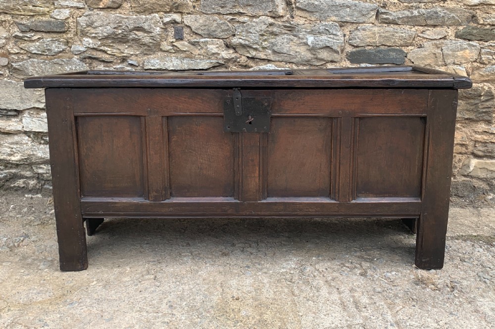 Small Early 18th Century Oak Panelled Coffer View III