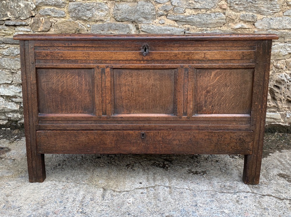 18th Century Georgian Oak Mule Chest View II