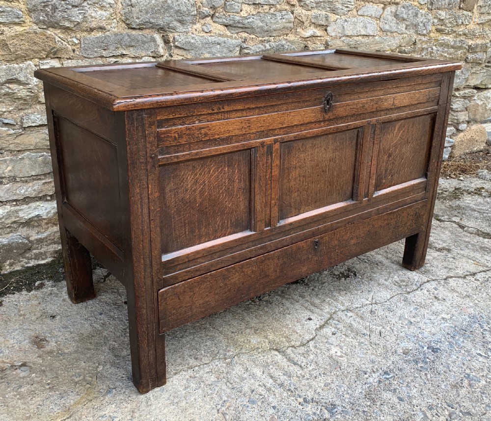 18th Century Georgian Oak Mule Chest View IV