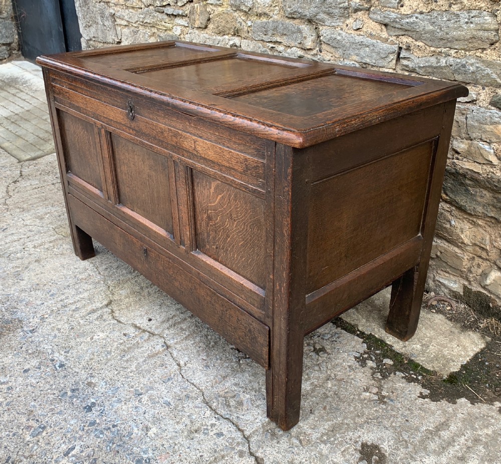 18th Century Georgian Oak Mule Chest View VI