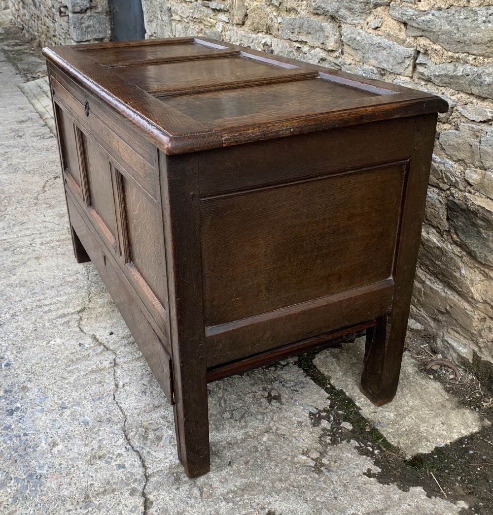 18th Century Georgian Oak Mule Chest View VII