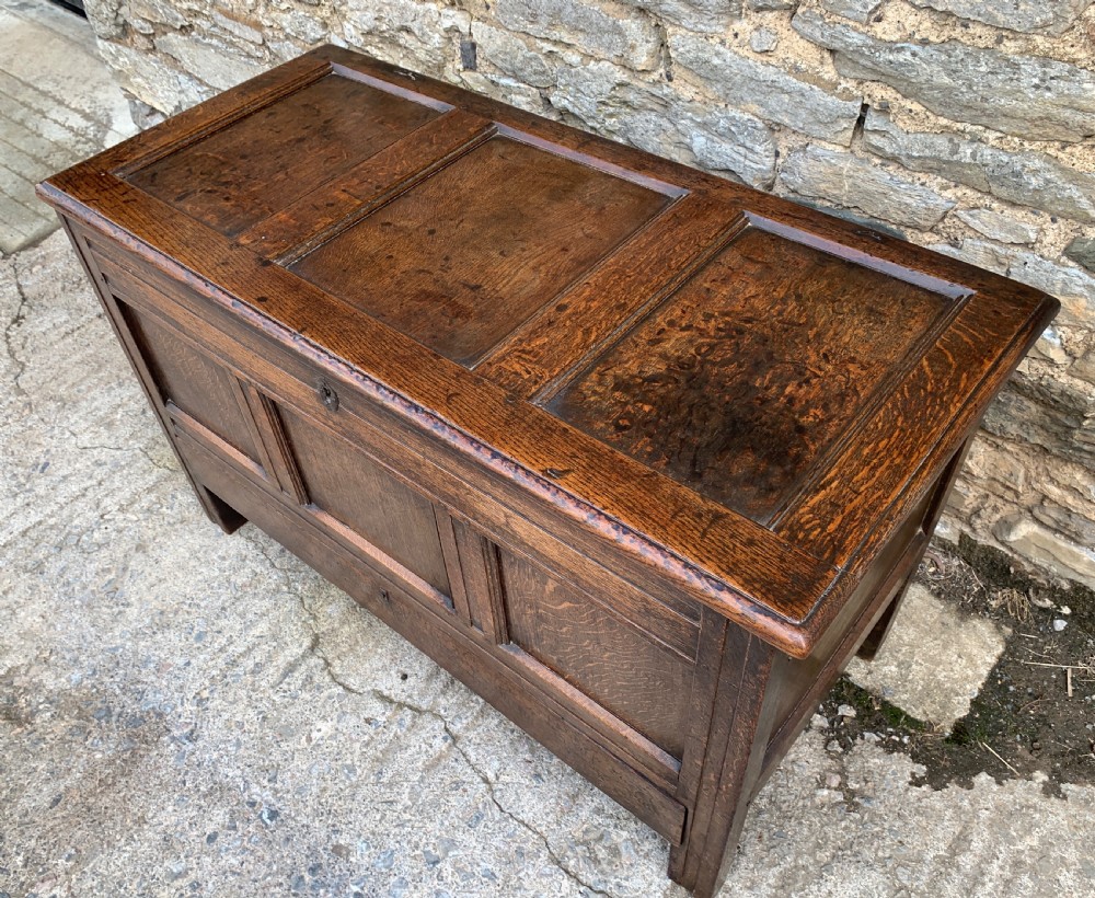 18th Century Georgian Oak Mule Chest View VIII