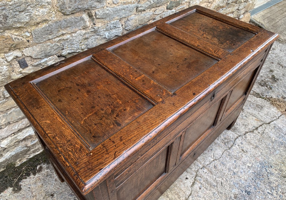 18th Century Georgian Oak Mule Chest View IX