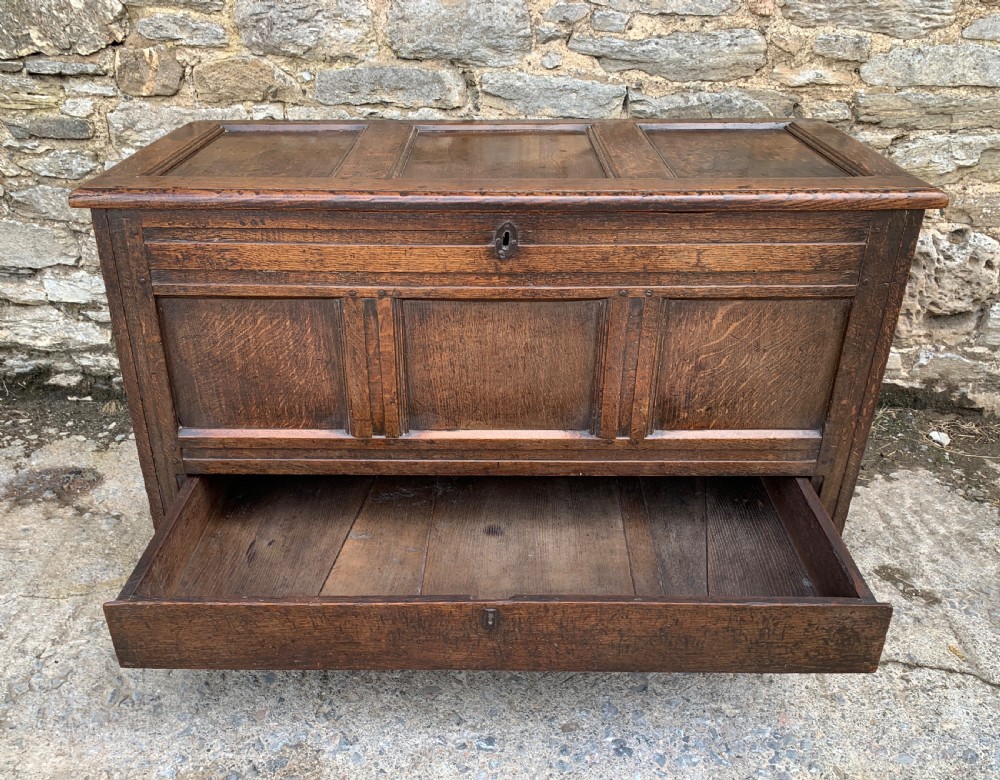 18th Century Georgian Oak Mule Chest View XI